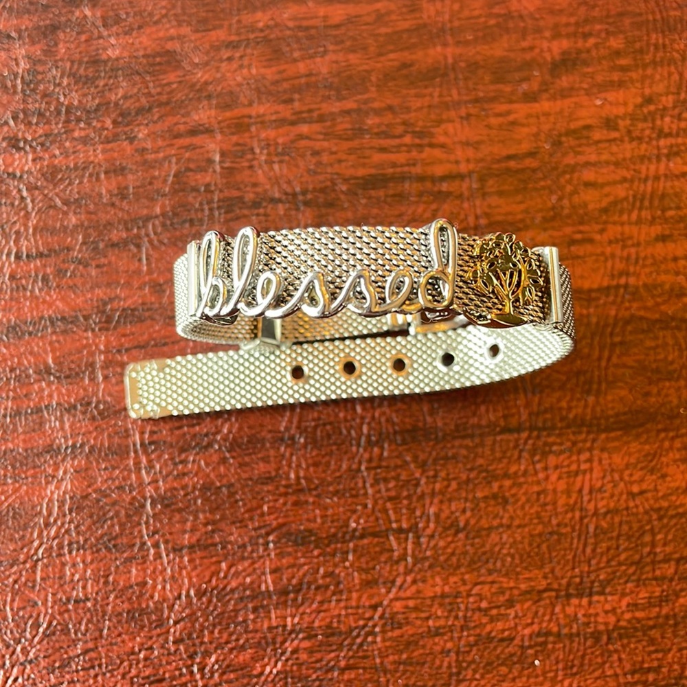 Keep collective mesh bracelet with charms